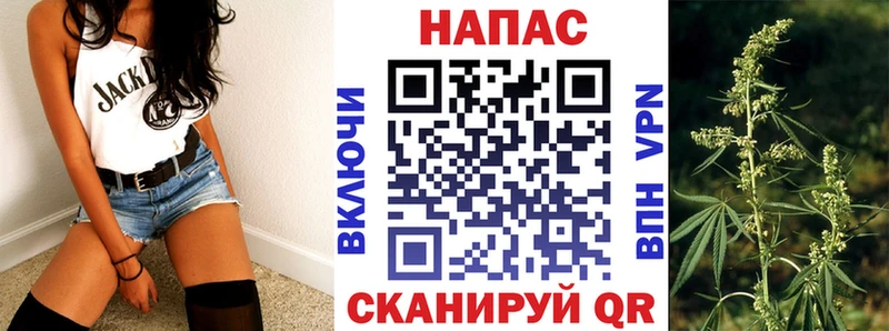 Бошки марихуана планчик  Купить закладки  Вязьма 